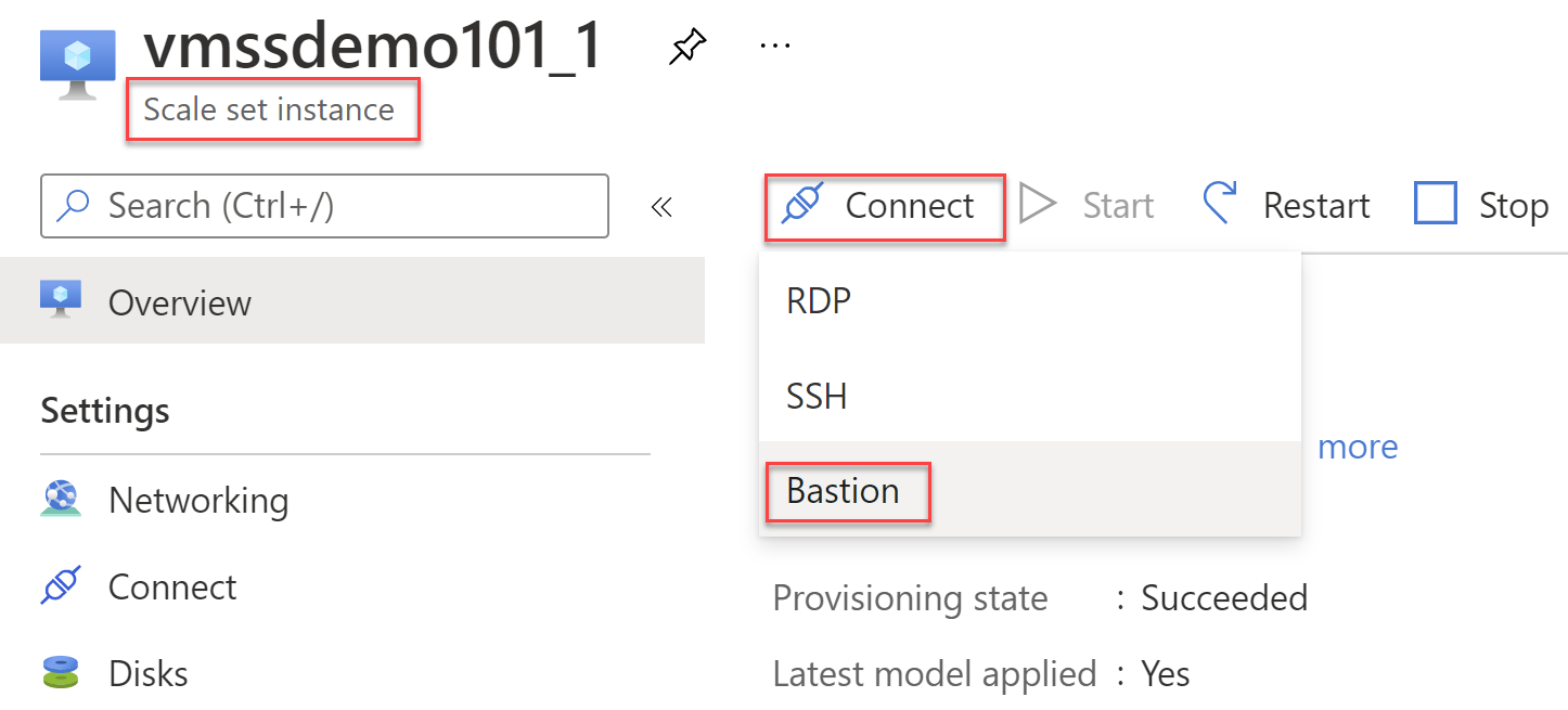 Bastion Connectivity option