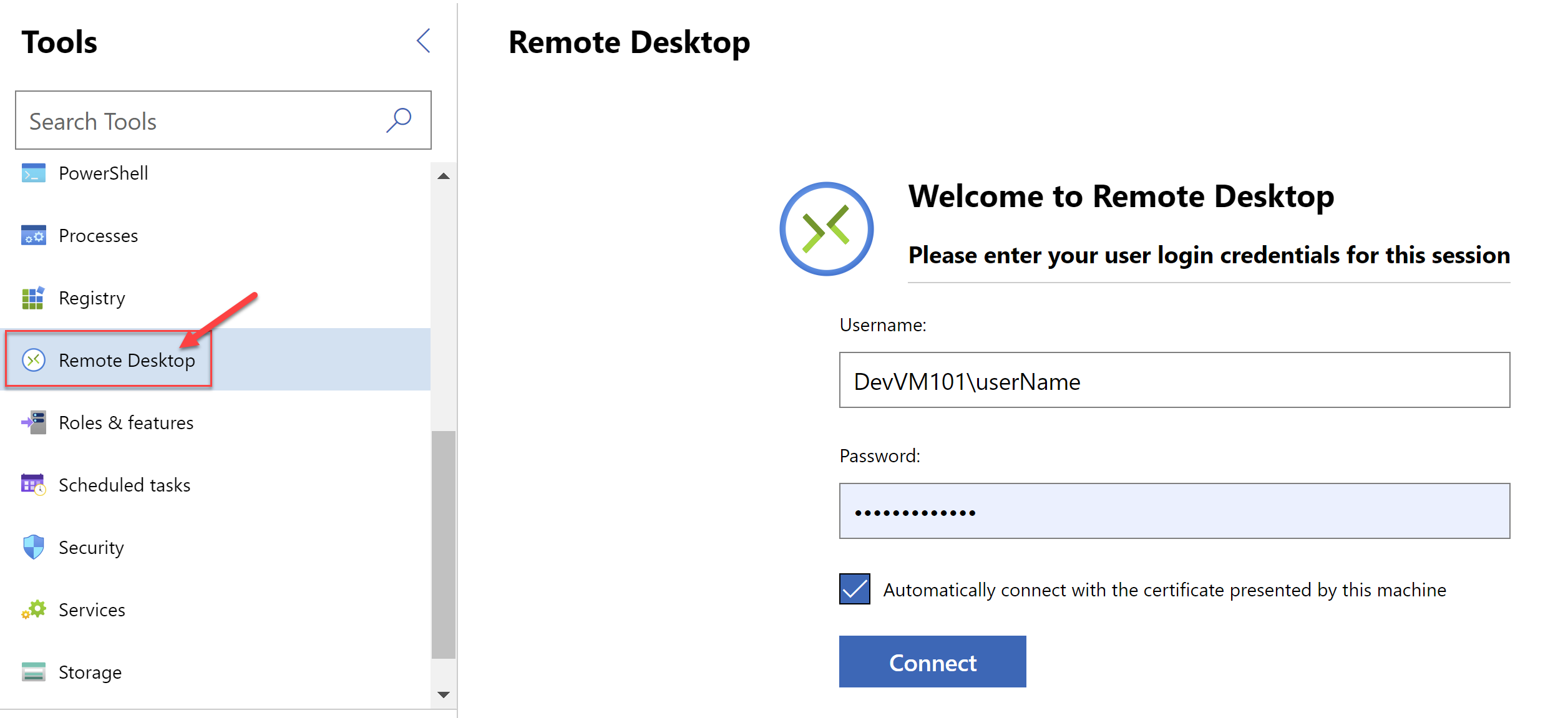 Remote Desktop - Connection Wizard